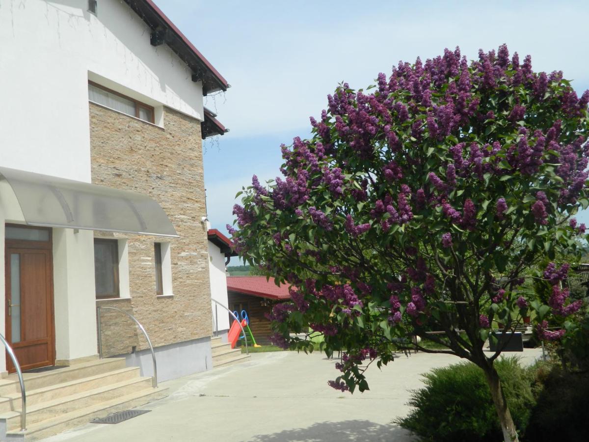 Mirana Hotel Cristian  Bagian luar foto